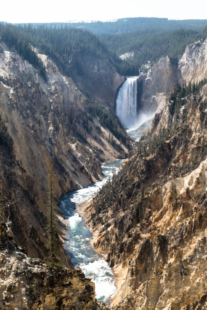Yellowstone